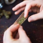 shutterstock_1691738023